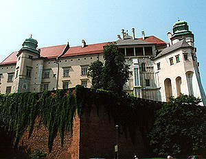 Rentgen na Wawelu