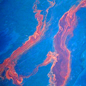 Oil from leaking well 'washes ashore' in Louisiana
