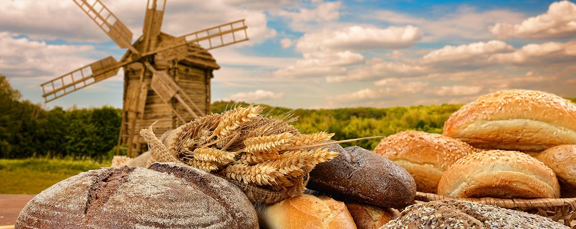 Polska piekarnia w New Jersey oferuje na Boże Narodzenie makowce, serniki, babki, jabłeczniki. Tomi Bakery 