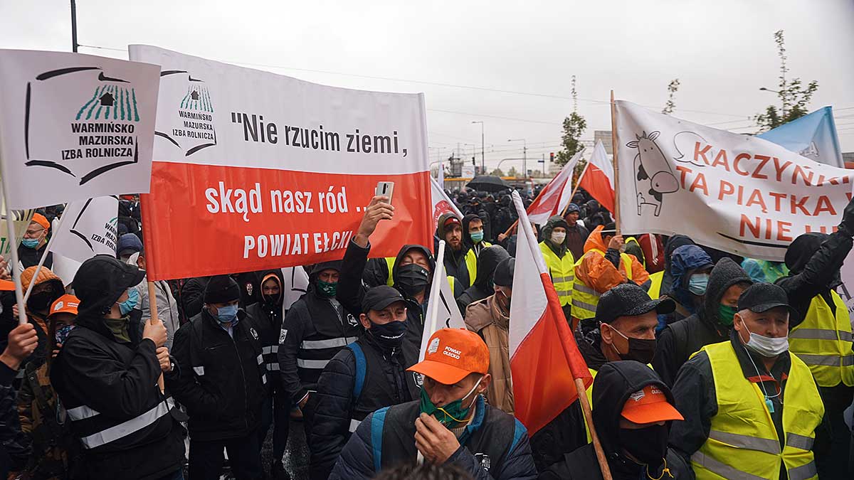 Dlaczego polscy rolnicy protestują?