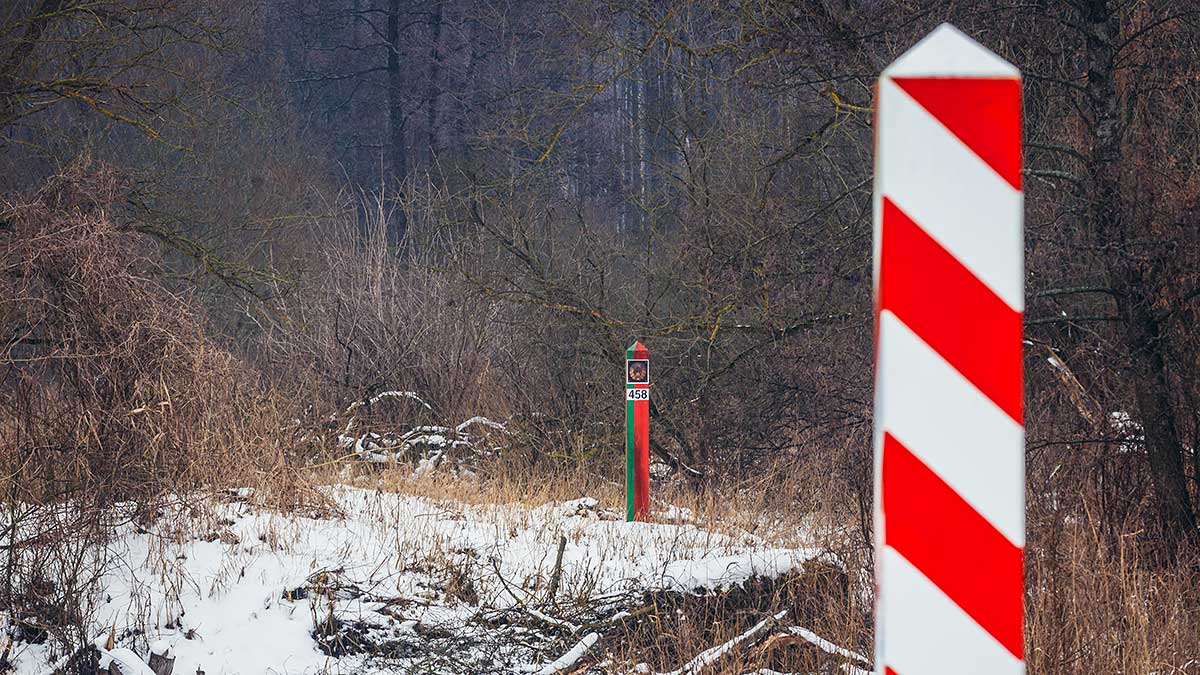 Kolejne zatrzymania nielegalnie przekraczających granicę polsko - białoruską