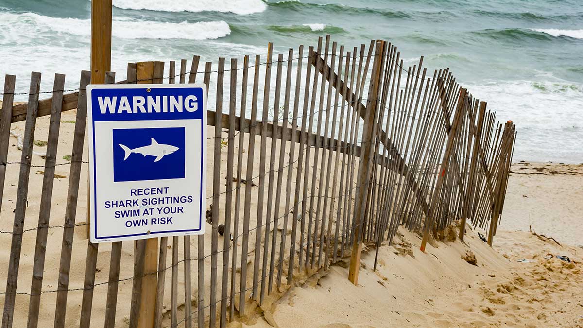 Więcej patroli wykrywających rekiny na plażach Long Island