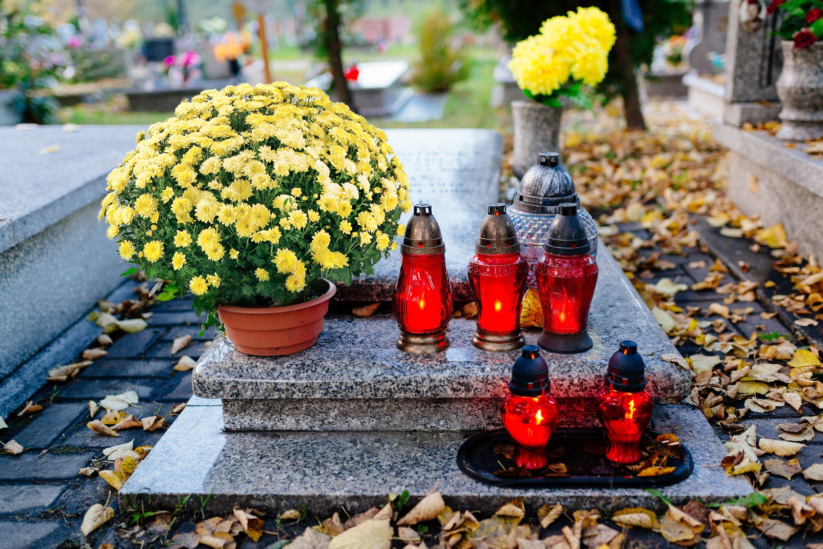 Na Dzień Wszystkich Świętych w Polsce Poczta Kwiatowa daje możliwość opieki nad grobami