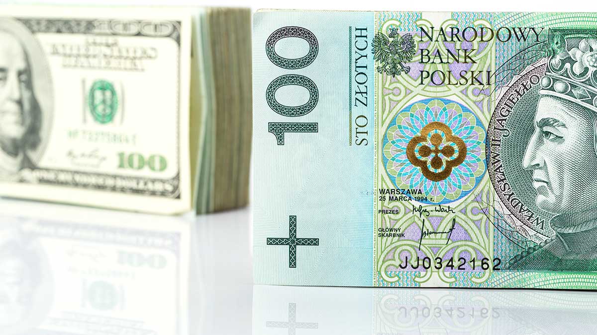 Przesyłka, transfery pieniędzy do Polski z USA. Co opłaca się wiedzieć?