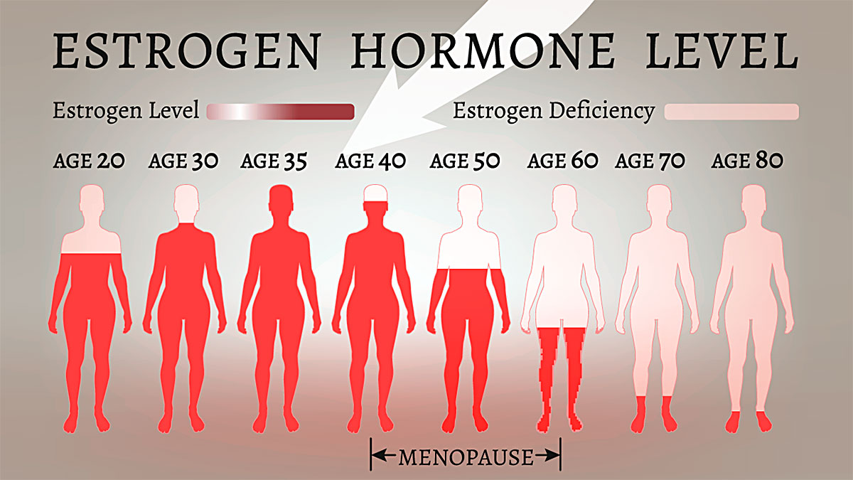 Magda Explains: Effects of Hormones on Muscle Mass & Insulin Resistance