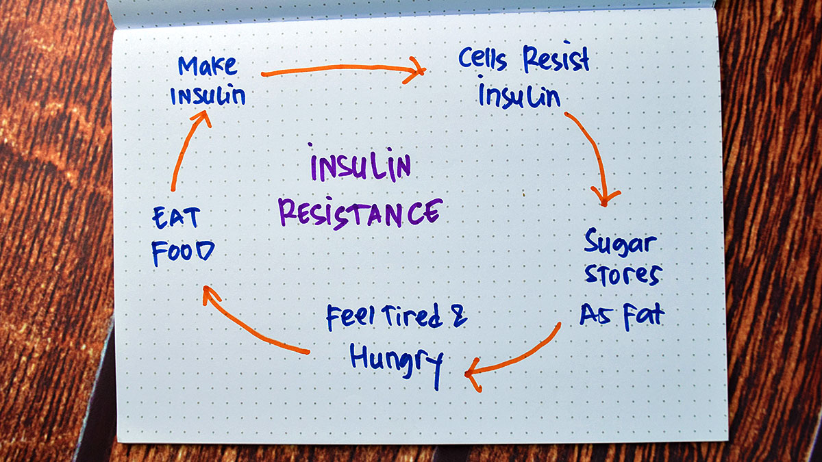 The Link Between EDCs and Insulin Resistance