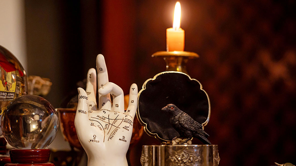 Palmistry: Uncover Your Life Path with Psychic Ashley